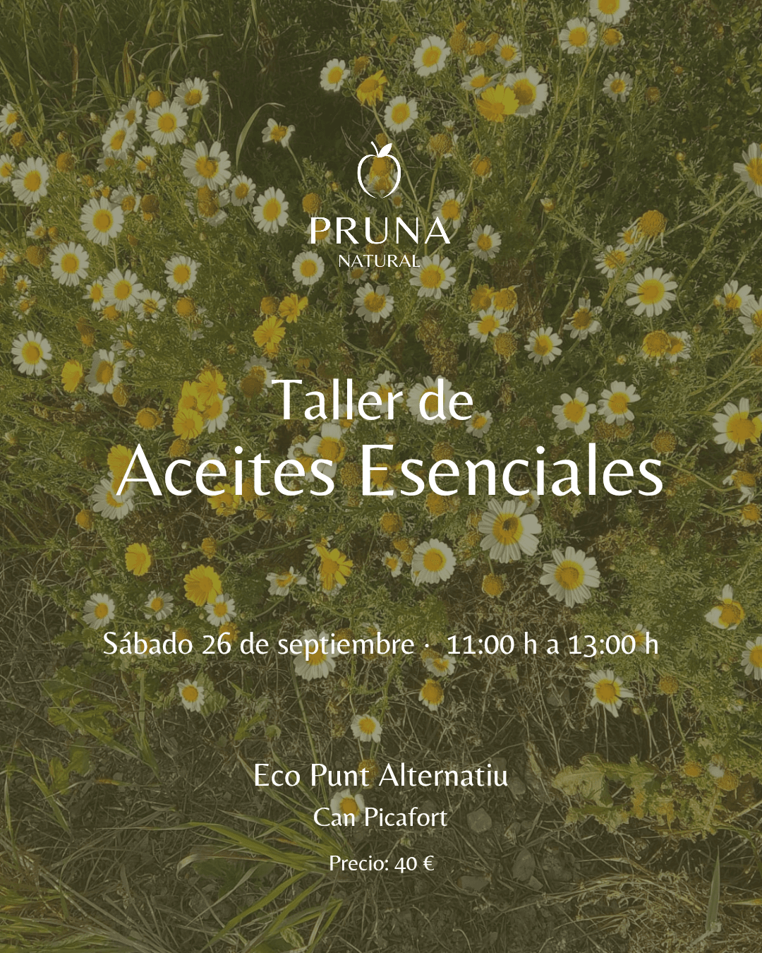Taller de Sinergias de Aceites Esenciales | 26 septiembre 2026