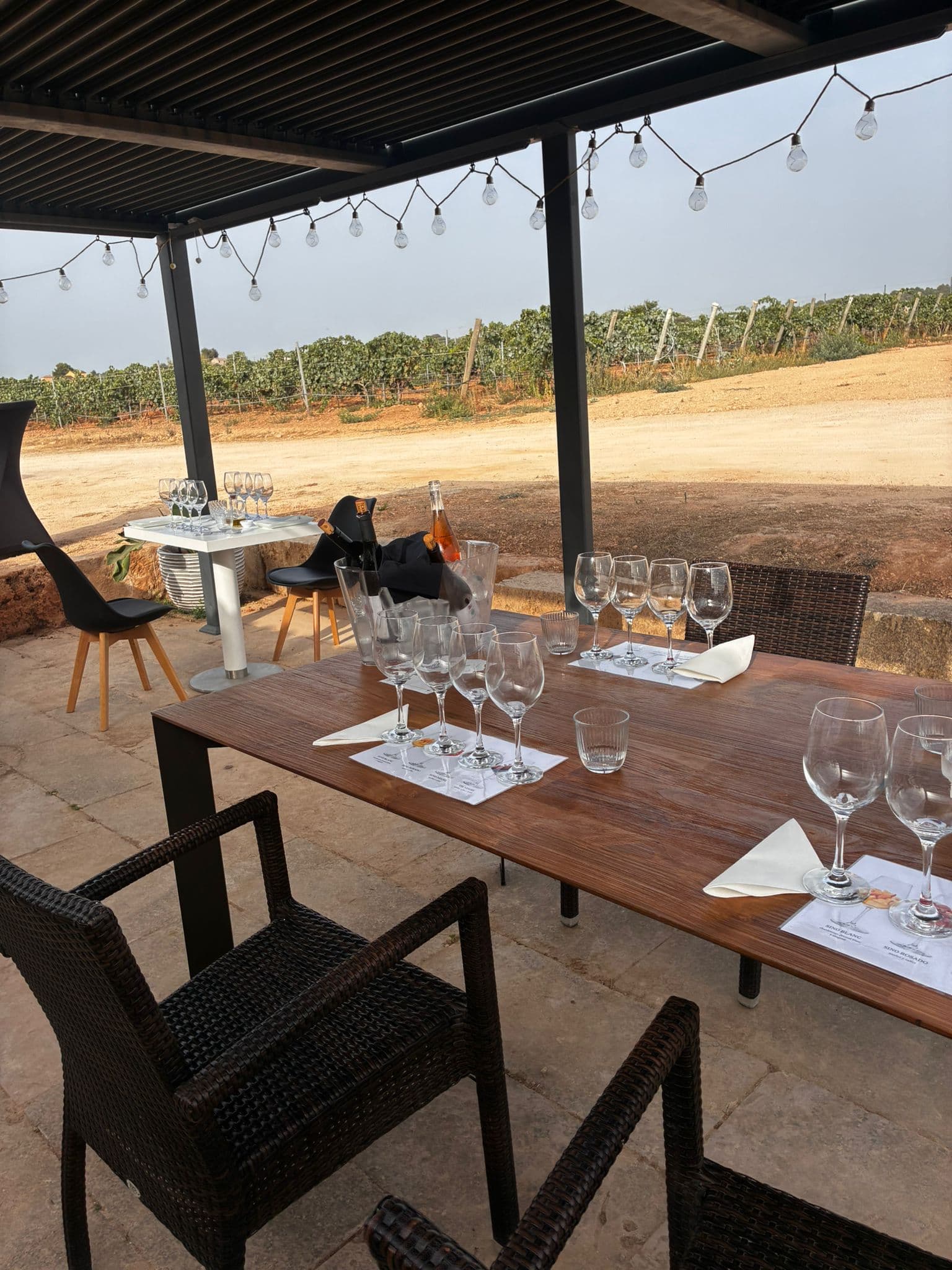CATA DE 4 VINOS + VISITA GUIADA