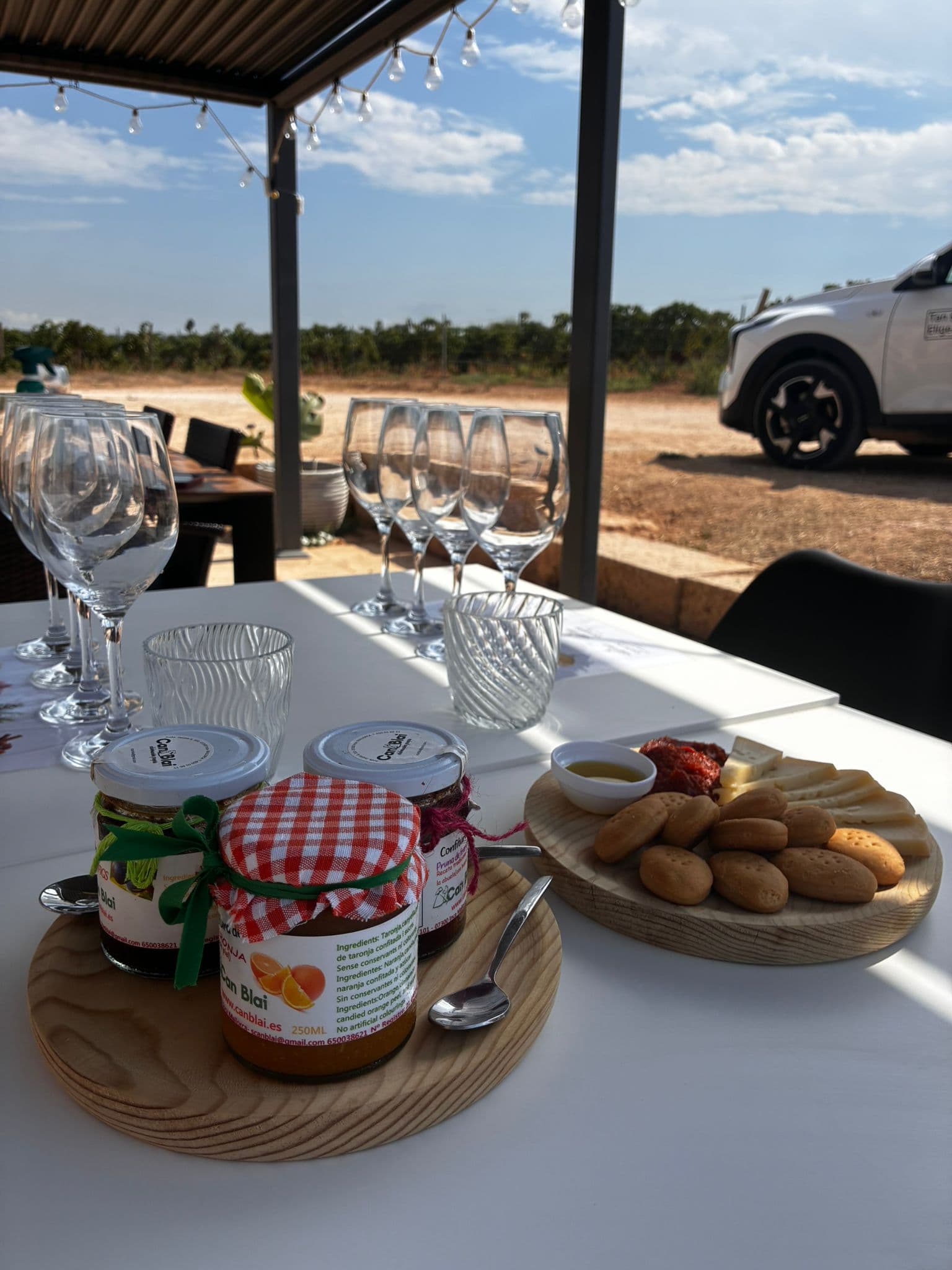 CATA DE 4 VINOS CON PICADA + VISITA GUIADA