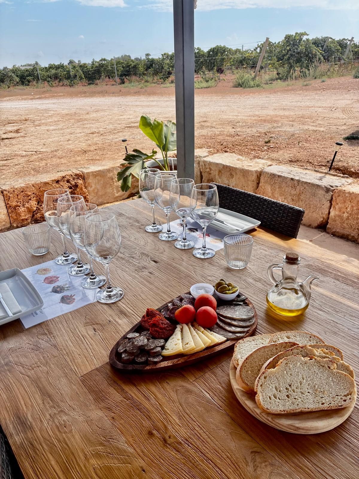 CATA DE 4 VINOS Y MARIDAJE + VISITA GUIADA