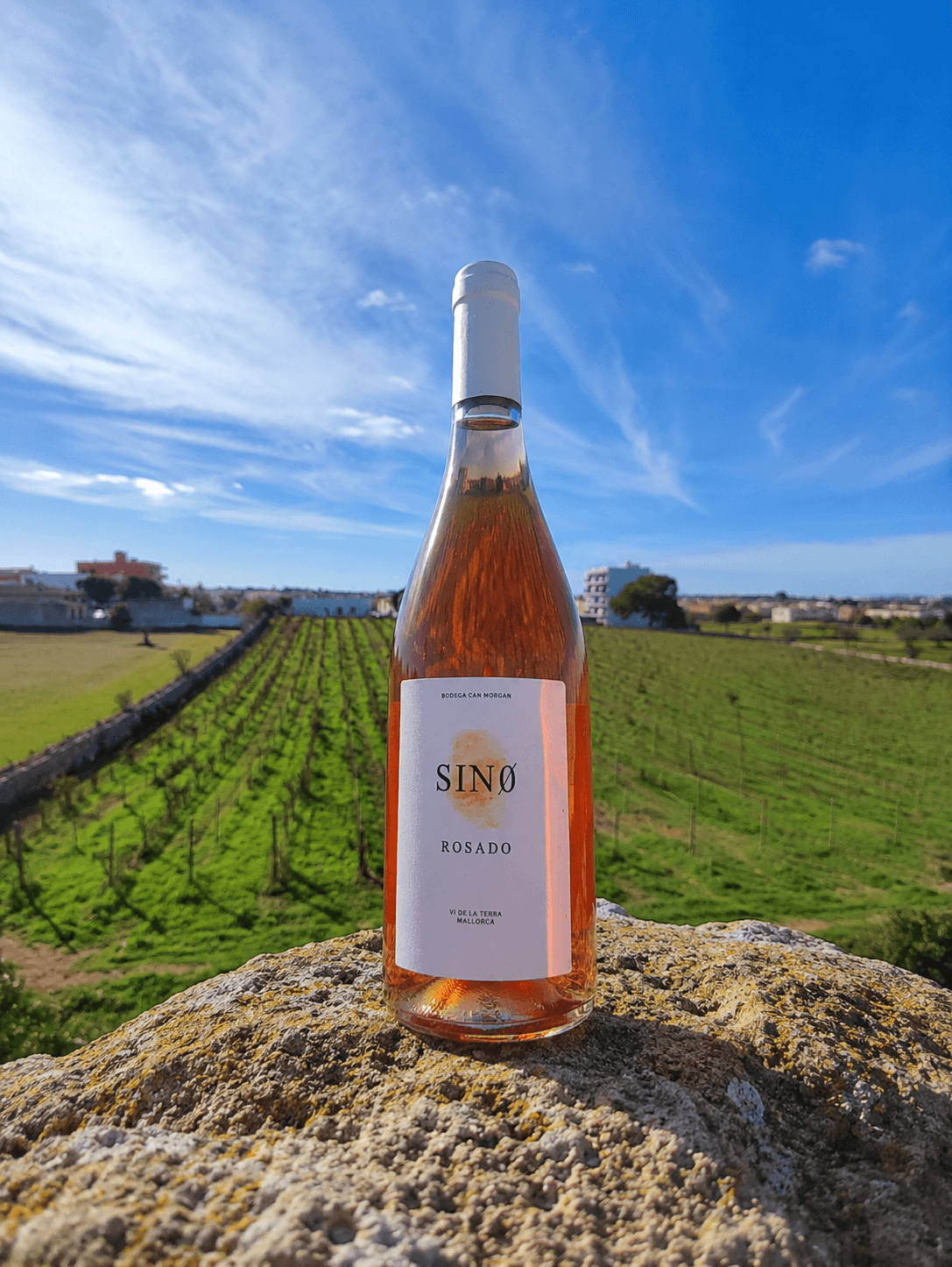 SINCERO ROSADO 1